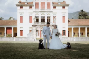 foto degli sposi di famiglia con i cani